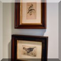 A49. Antique bird prints. 